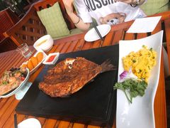 -Local泰莲庭(虹鳟鱼店)