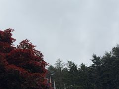 -四明山国家森林公园