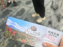 -亚龙湾国际玫瑰谷
