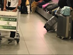 -波哥大埃尔多拉国际机场