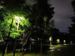 -长白岛森林公园