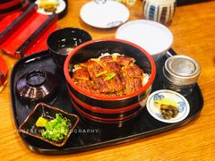 鳗鱼饭三吃-本家 柴藤