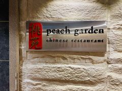 -桃苑(华侨银行大厦店)