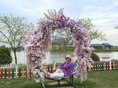 -荷兰花海