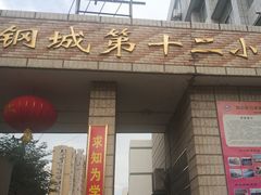 -武汉市青山区钢城第十二小学