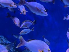 -成都浩海立方海洋公园