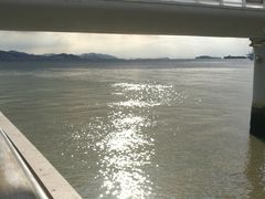 -演武大桥观景平台