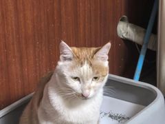 -Meowの猫咖(万家丽店)