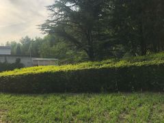 景点-朝阳公园