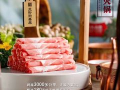-潮牛魏记鲜牛肉火锅(开发区店)