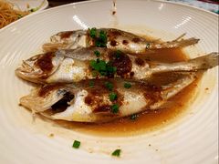 -宁海安岚·南溪阁全日餐厅