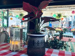 -威尼斯意餐酒吧 Venezia club(意大利风情街店)
