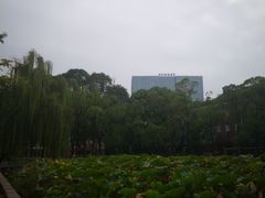 -四川大学(望江校区)