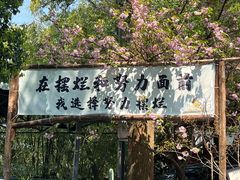 -南山植物园