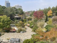 -上海吴淞炮台湾国家湿地公园