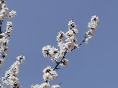 -野鸭湖国家湿地公园