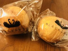 -BLACKSWAN黑天鹅(环球店)