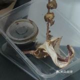 第一份烧烤外卖宵夜