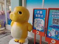 -海合安成都极地海洋公园