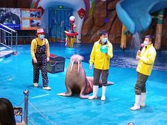 -烟台海昌鲸鲨海洋公园