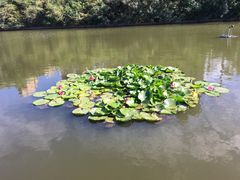 -前关湿地公园
