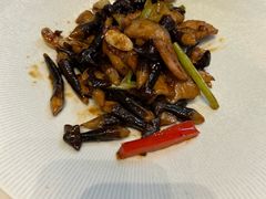 -欢乐海岸美食联盟