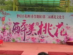 -松山湖梦幻百花洲