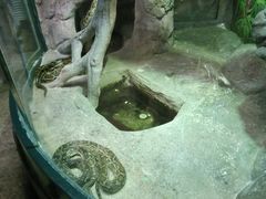 -福州罗源湾海洋世界旅游区