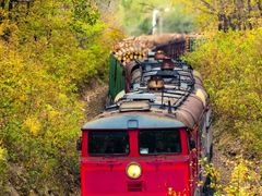 -鱼桥巷·美学川菜