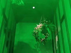 -红钳侠小龙虾·烧烤(中赢康康谷店)