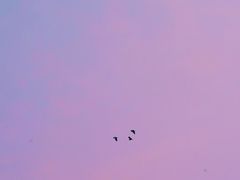 -滆湖低碳生态公园