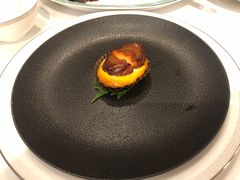 一口鲍鱼酥-伯衡55·吉品轩(乌鲁木齐南路店)