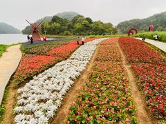 -广州市石门国家森林公园