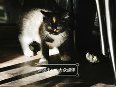 -古耳咖啡(北锣店)