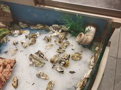 -食嗨汇海鲜烤肉自助餐厅(印象济南店)