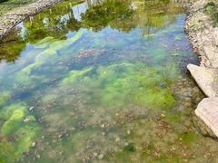 -宁波九龙湖开元度假村