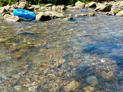 -北仑森林植物园