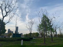 -上海山野camping·户外天幕烧烤·团建拓展营地