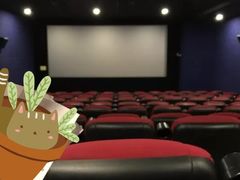 -大地影院(上海南汇店)