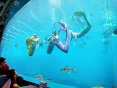 -瑞德姆美人鱼海底演艺主题餐厅(亚龙湾店)