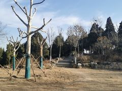 -佛慧山