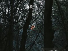 -杭州植物园