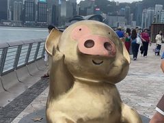 -星光大道