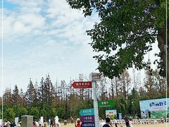 -前小桔亲子创意农场·草莓采摘·露营烧烤