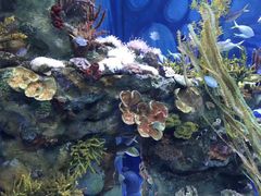 -上海海昌海洋公园