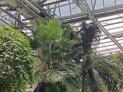 -龙达温泉生态城