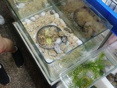 -双季花艺园艺市场(浦东店)