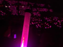 -大连体育中心体育馆