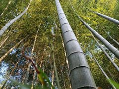 -紫金山天文台