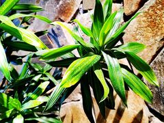 -陈熹公民族美食文化餐厅(中华广场店)